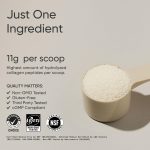 Sports Research Collagen Peptides - Hydrolyzed Type 1 & 3 Collagen Powder Protein Supplement for Healthy Skin, Nails, & Joints - Easy Mixing Vital Nutrients & Proteins, Collagen for Women & Men - Image 2